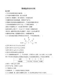 19.酸碱盐的综合训练分层作业 2025年中考化学鲁教版