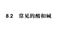 初中化学科粤版（2024）九年级下册（2024）常见的酸和碱作业课件ppt