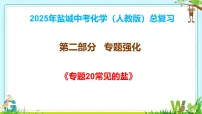2025年盐城中考化学（人教版）总复习《第二部分专题20常见的盐》 课件
