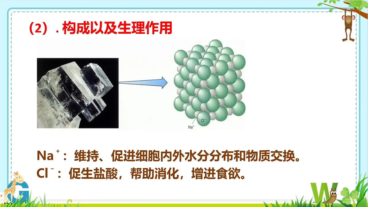 2025年盐城中考化学(人教版)总复习《第二部分专题20常见的盐》 课件第6页