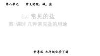 化学科粤版（2024）常见的盐教学课件ppt