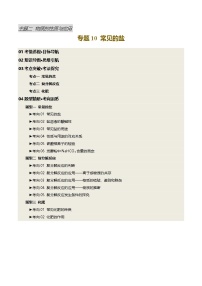 专题10 常见的盐（讲义）-2025中考化学一轮复习讲义