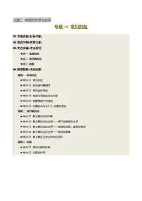 专题10 常见的盐(讲义)-2025中考化学一轮复习讲义