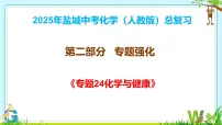 2025年盐城中考化学（人教版）总复习《第二部分+专题24+化学与健康》课件