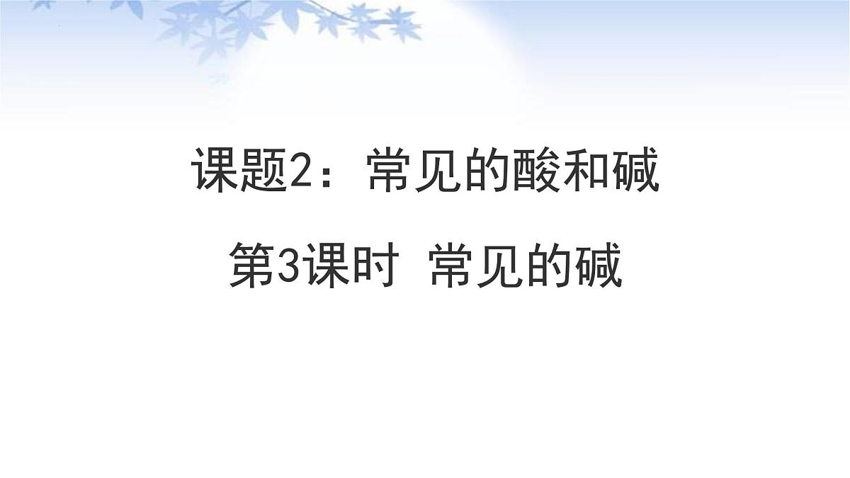 10.2常见的酸和碱 2025学年九年级化学人教版(2024)下册 课件第2页