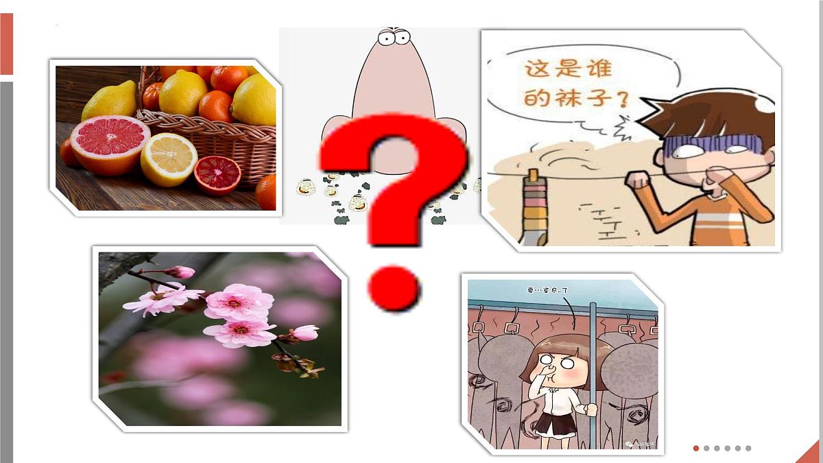 第三单元课题1分子和原子第1课时课件-2024-2025学年九年级化学人教版(2024)上册第6页