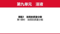 化学九年级下册（2024）溶质的质量分数课前预习ppt课件