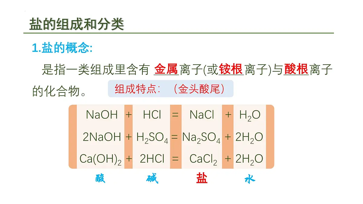 10.3常见的盐(一)课件---2024--2025学年九年级化学人教版(2024)下册第5页