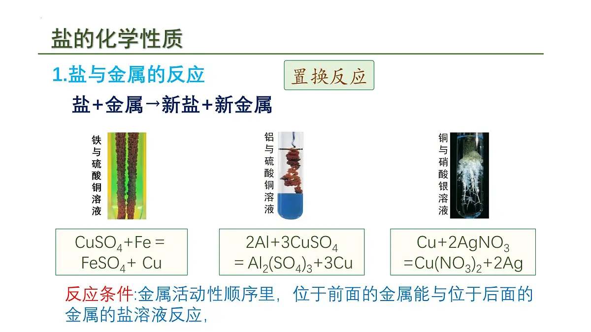 10.3常见的盐(二)课件---2024-2025学年九年级化学人教版(2024)下册第5页
