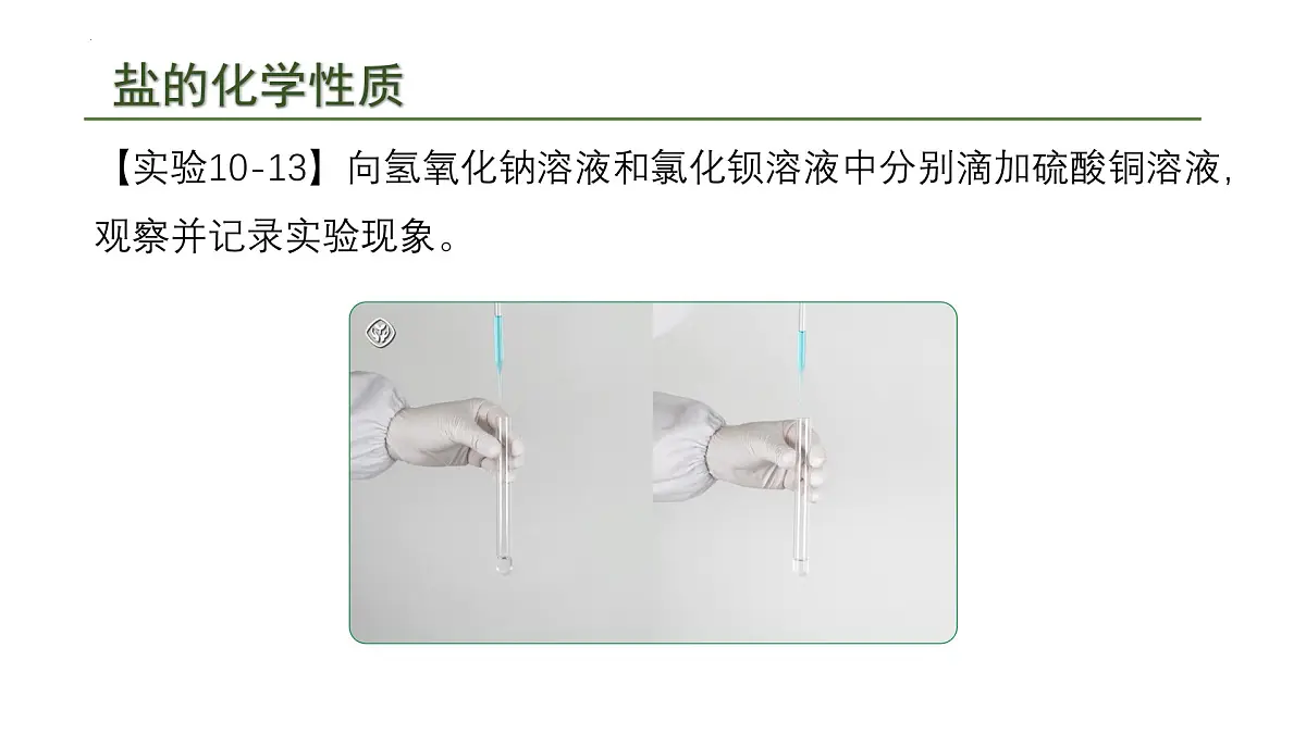 10.3常见的盐(二)课件---2024-2025学年九年级化学人教版(2024)下册第8页