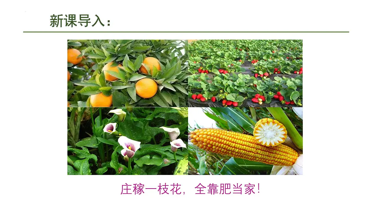 10.3常见的盐(三)课件---2024--2025学年九年级化学人教版(2024)下册第3页