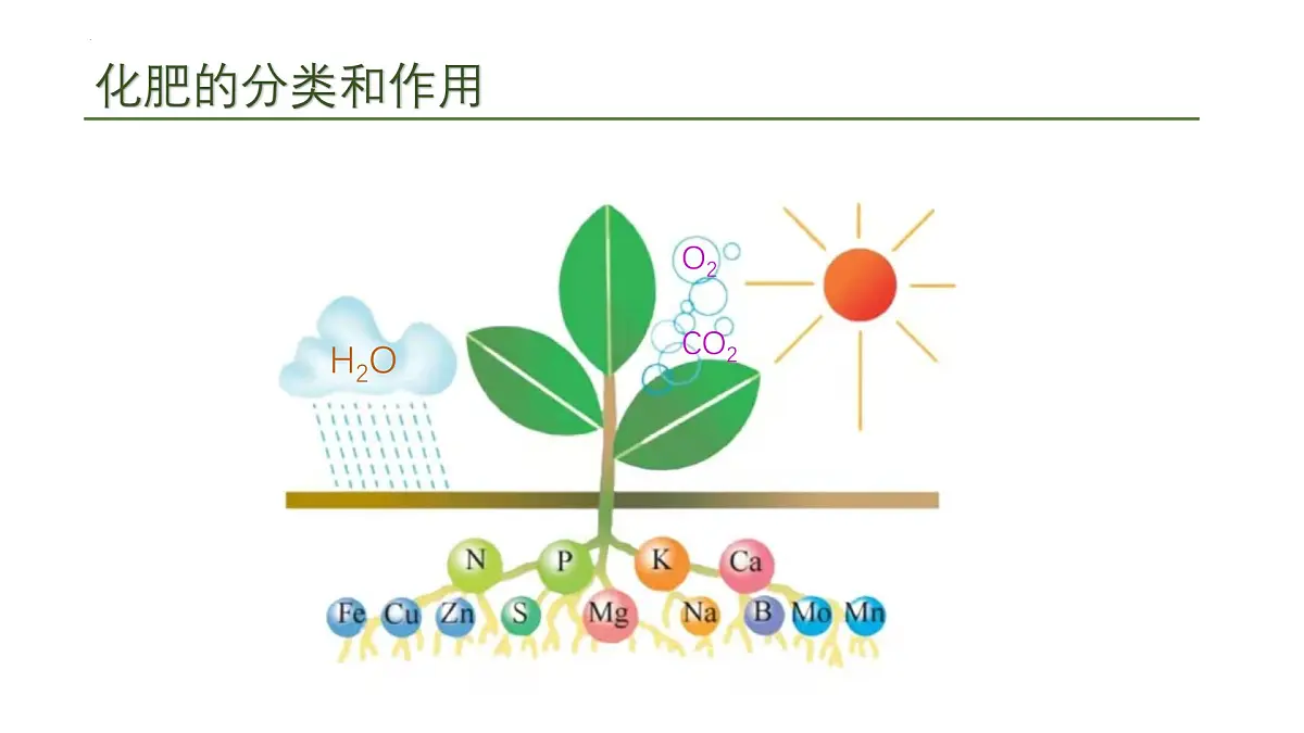 10.3常见的盐(三)课件---2024--2025学年九年级化学人教版(2024)下册第5页