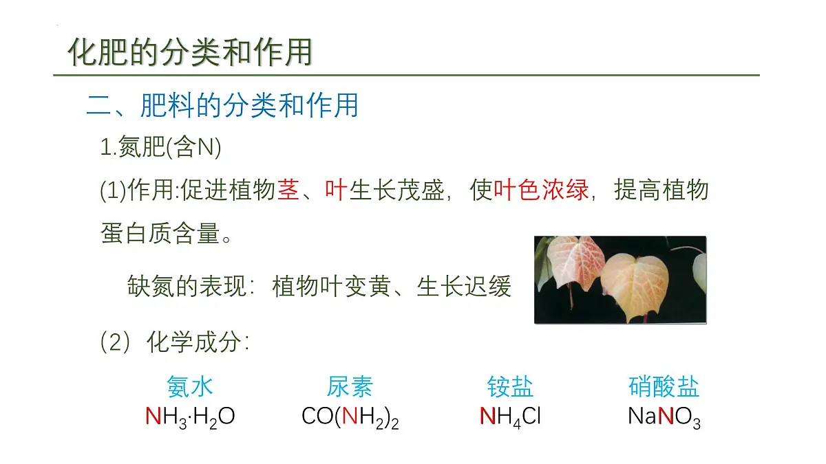 10.3常见的盐(三)课件---2024--2025学年九年级化学人教版(2024)下册第7页