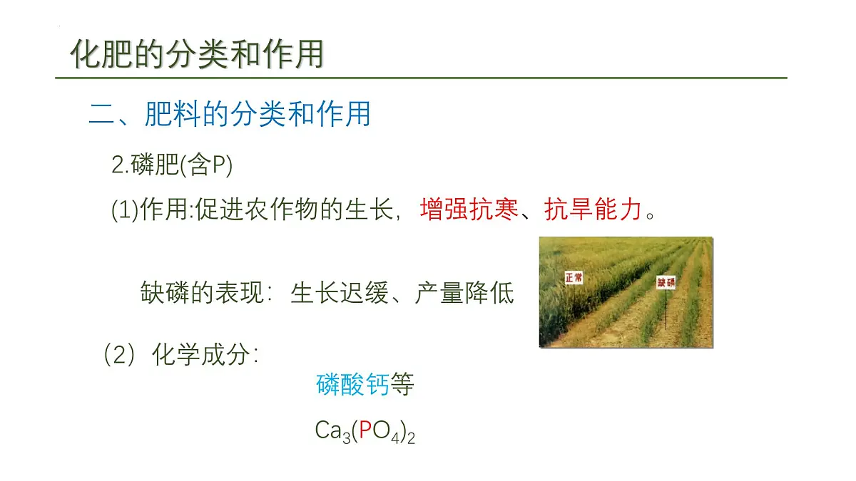 10.3常见的盐(三)课件---2024--2025学年九年级化学人教版(2024)下册第8页