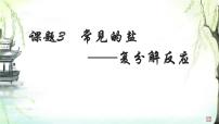 化学九年级下册（2024）常见的盐图片课件ppt
