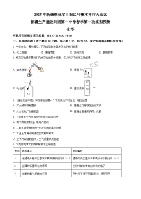 2025年新疆生产建设兵团第一中学中考模拟化学试题（原卷版+解析版）