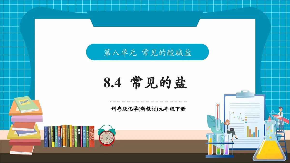 8.4《常见的盐》课件第1页