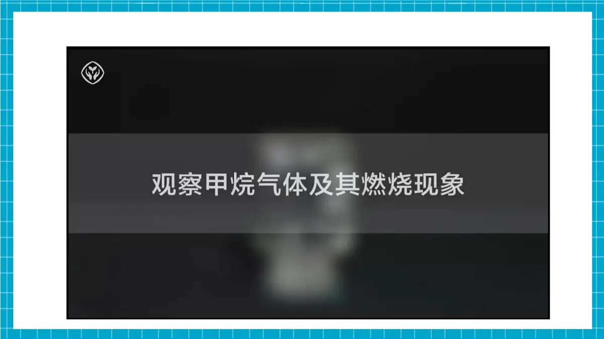 9.1《有机物的常识》课件第8页