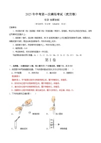 2025年中考第一次模拟考试卷：化学（武汉卷）（解析版）