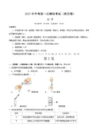 2025年中考第一次模拟考试卷:化学(武汉卷)(原卷版)