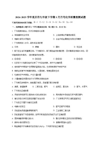 2024-2025学年重庆市九年级下册3月月考化学质量检测试题（附答案）