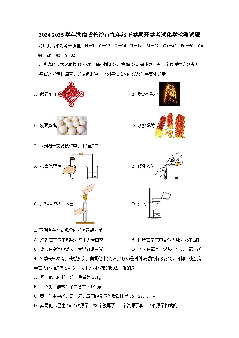 2024-2025学年湖南省长沙市九年级下册开学考试化学检测试题(附答案)第1页