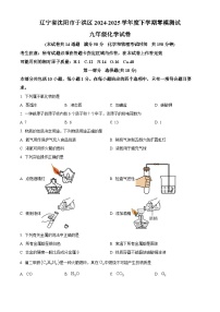 2025年辽宁省沈阳市于洪区中考模拟预测化学试题（原卷+答案与解释）2024-202学年第二学期 中考模拟