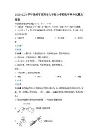 2022-2023学年贵州省贵阳市九年级上学期化学期中试题及答案