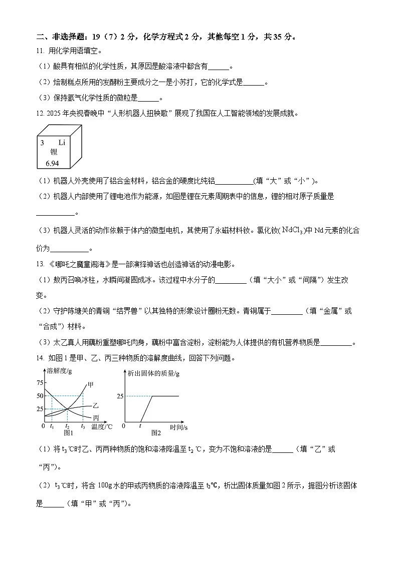 吉林省松原市前郭尔罗斯蒙古族自治县第一中学2024-2025学年九年级下学期3月月考化学试题第3页