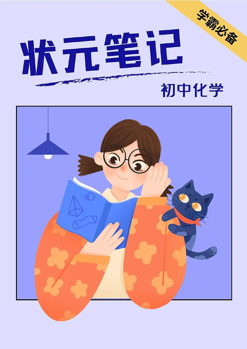 2025 年人教版初三下学期《化学状元笔记》学案第1页