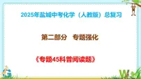 2025年盐城中考化学（人教版）总复习《第二部分专题45科普阅读题》 课件