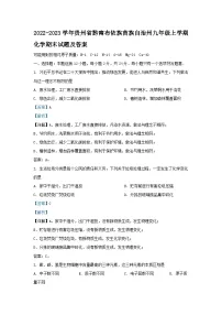 2022-2023学年贵州省黔南布依族苗族自治州九年级上学期化学期末试题及答案
