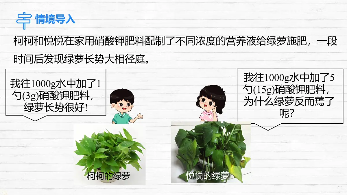 7.3 溶液浓稀的表示 课件 2024-2025学年九年级化学科粤版下册第3页
