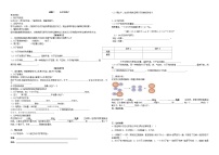 初中化学人教版（2024）九年级上册（2024）分子和原子导学案及答案