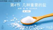 初中化学沪教版（2024）九年级下册（2024）几种重要的盐教学演示ppt课件