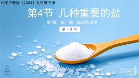 初中化学沪教版（2024）九年级下册（2024）几种重要的盐教学演示ppt课件