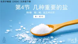 8.4 幾種重要的鹽 第1課時(shí) 課件 化學(xué)滬教版（2024）九年級(jí)下冊(cè)