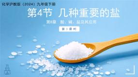 初中化学沪教版（2024）九年级下册（2024）几种重要的盐教案配套课件ppt