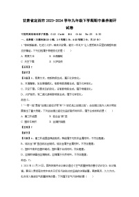 甘肃省定西市2023-2024学年九年级下学期期中素养测评化学试卷(解析版)