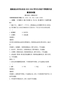 湖南省永州市东安县2023-2024学年九年级下学期期中质量监测化学试卷（解析版）