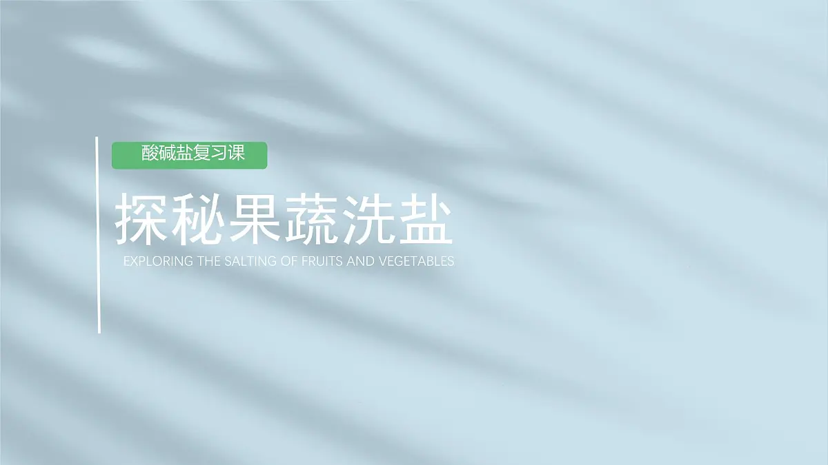 第十单元 整理与提升 课件 2024-2025学年九年级化学人教版下册第1页