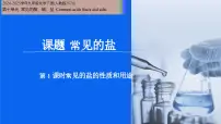 初中化学常见的盐精品课件ppt