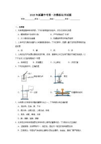 2025年新疆中考第一次模拟化学试题（无答案）