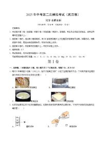 2025年中考第二次模拟考试卷：化学（武汉卷）（考试版）