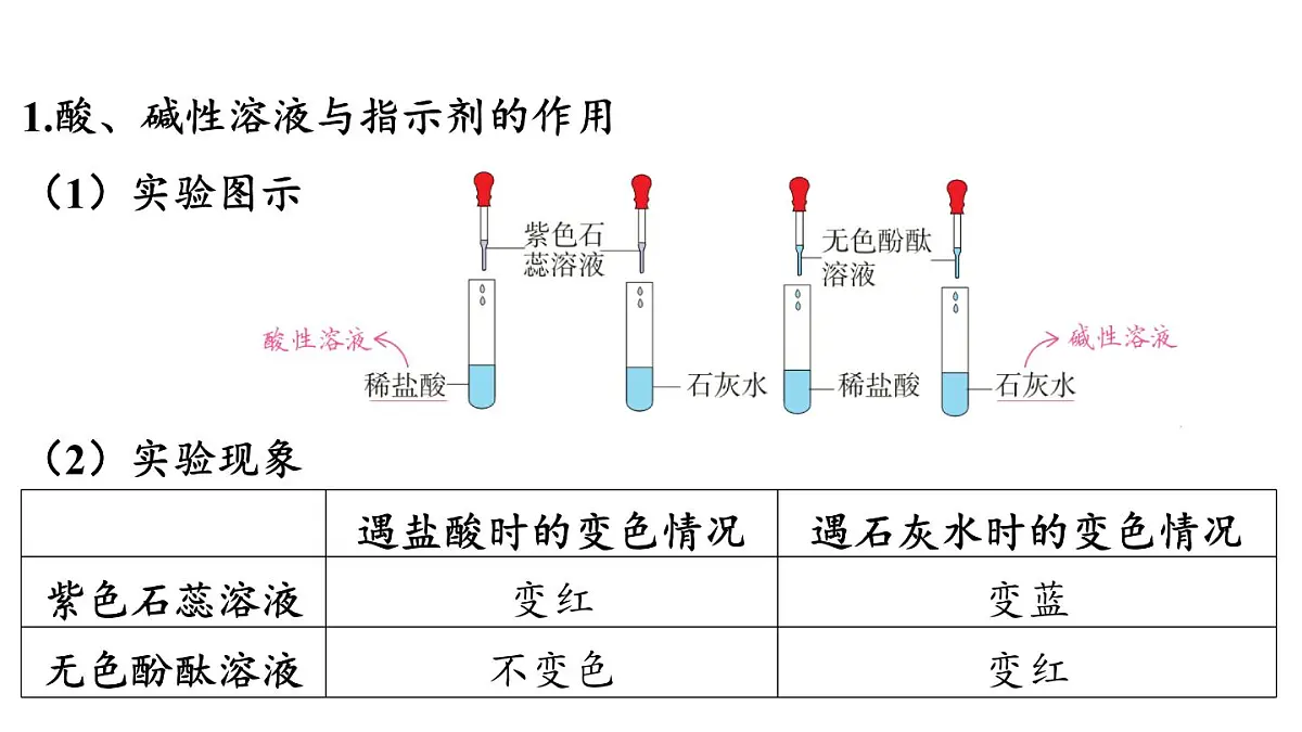 8.1 溶液的酸碱性-2024-2025学年九年级下化学同步课件(2025版)科粤版第3页