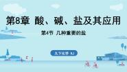 沪教版（2024）九年级下册（2024）几种重要的盐优秀课件ppt