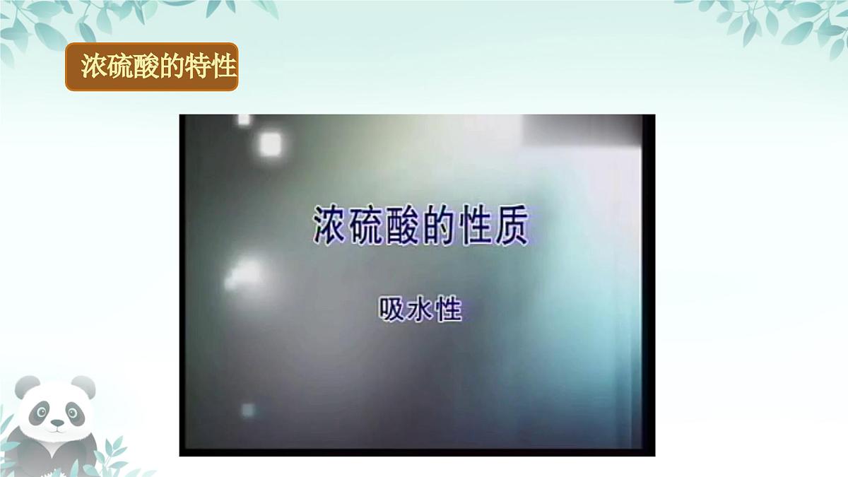10.2 常见的酸和碱(第1课时)课件 2024-2025学年九年级化学人教版下册第5页