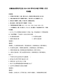 安徽省合肥市庐江县2024-2025学年九年级下学期3月月考化学试卷（解析版）