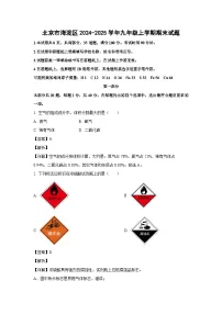北京市海淀区2024-2025学年九年级上学期期末化学试卷（解析版）