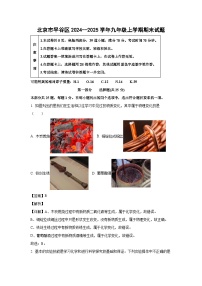 北京市平谷区2024--2025学年九年级上学期期末化学试卷（解析版）